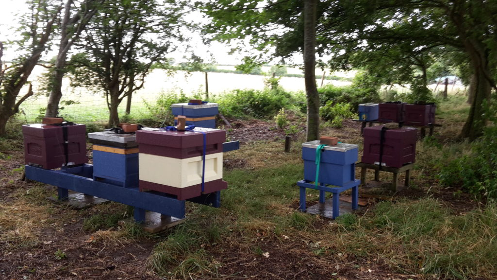 Castlethorpe Apiary under the trees