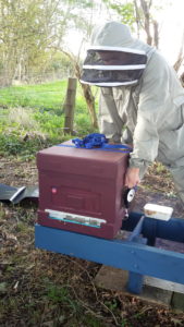 Hive weighing